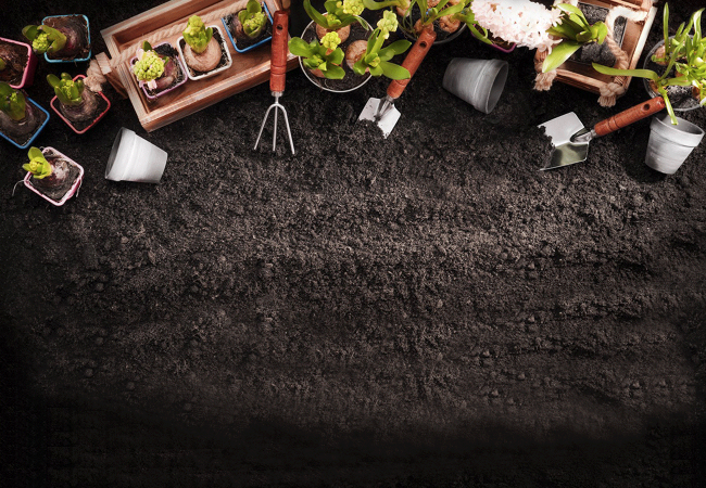 Comment bien utiliser votre compost?